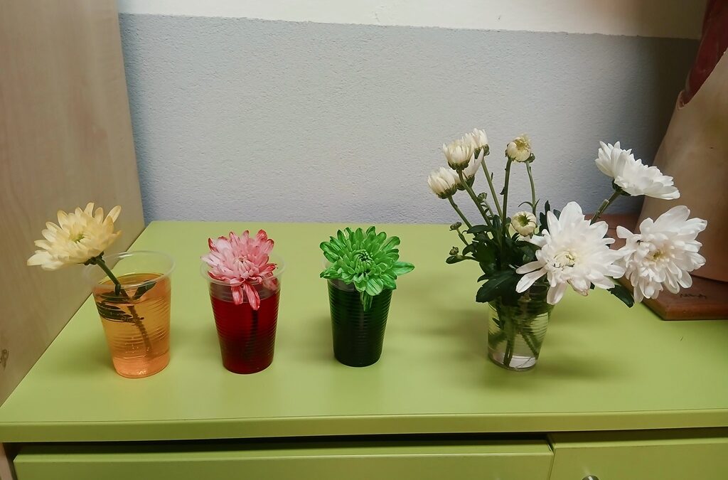 ФЕСТИВАЛ НАУКЕ